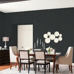 Farba lateksowa MOC KOLORU 2,5L mała czarna