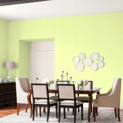 Farba lateksowa MOC KOLORU 2,5L limonkowy sorbet